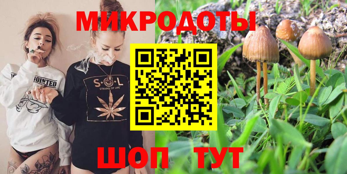 Галлюциногенные грибы Cubensis Егорьевск