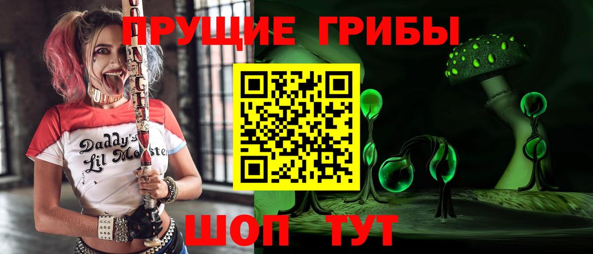 Егорьевск  Псилоцибиновые грибы Psilocybe  Вход с VPN 